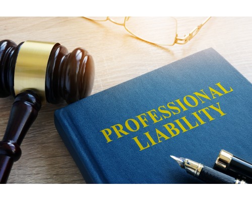 Professional Indemnity